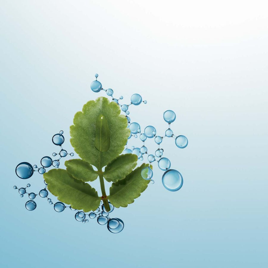 Crème Hydratante Visage Pour Peaux Normales à Sèches - Hydra-Essentiel