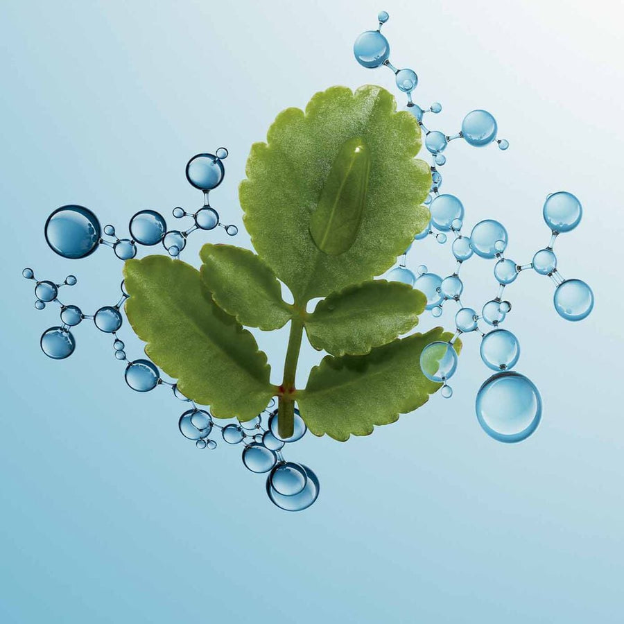 Crème Hydratante Visage Pour Peaux Très Séches - Hydra-Essentiel