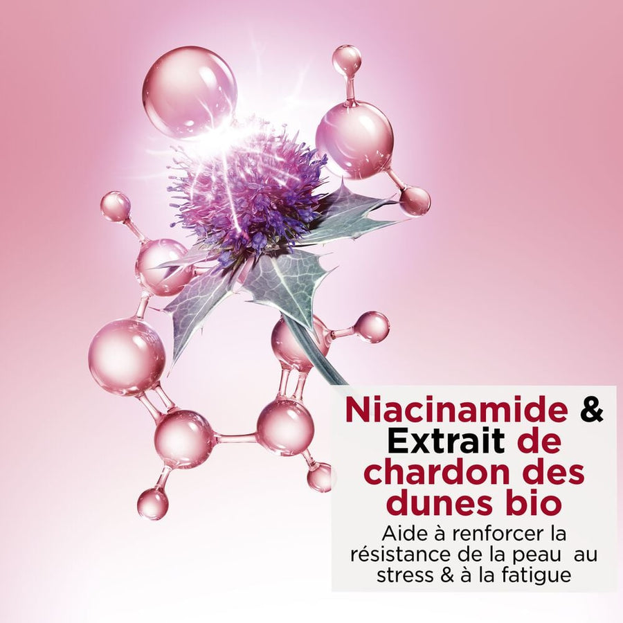 Crème Hydratante à la Niacinamide - Multi-Active