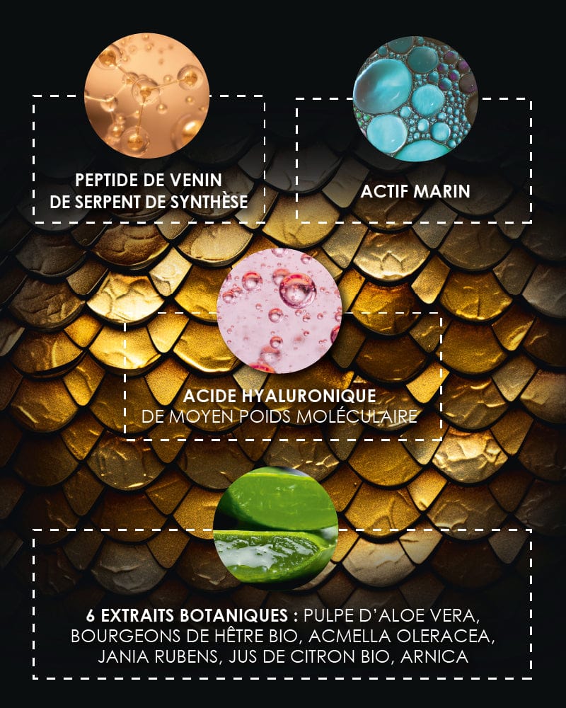 Coffret [ MYSTÉRIEUX Repulpant ]